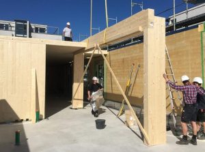 Bauablauf mit Hoffmeister – Bauarbeiter konstruieren ein Holzhaus.